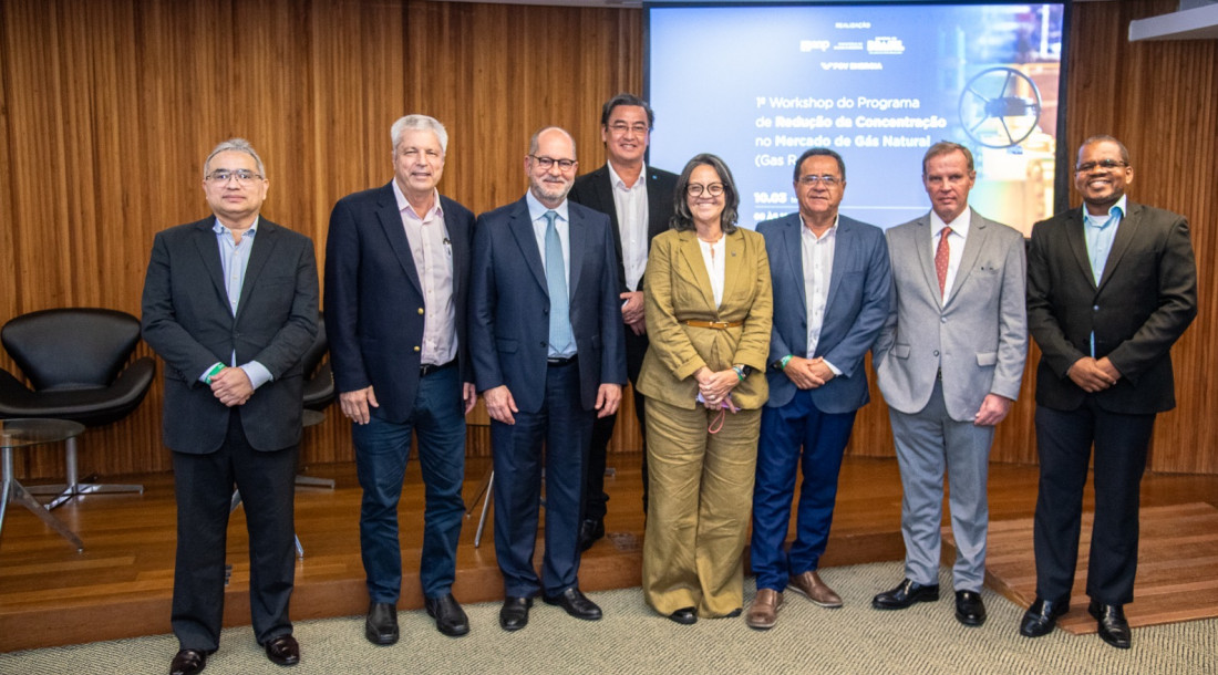 Agrese participa de debate nacional sobre redução da concentração no mercado de gás natural